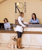 K-9 Resorts investor aims to Trump market