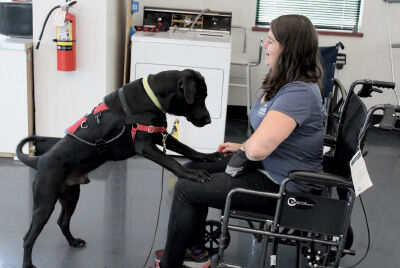 Franchising Gives Back highlights philanthropic efforts