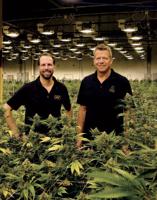 Unity Rd.’s race to win the weed business